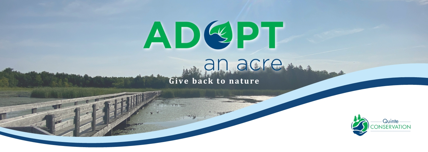 2023 Adopt An Acre